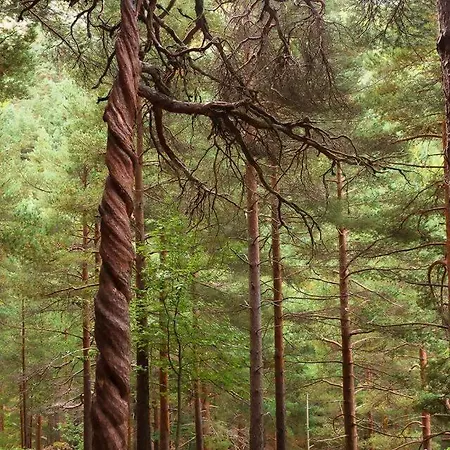 شقة Paraiso Desconocido 1 Pura Magia *