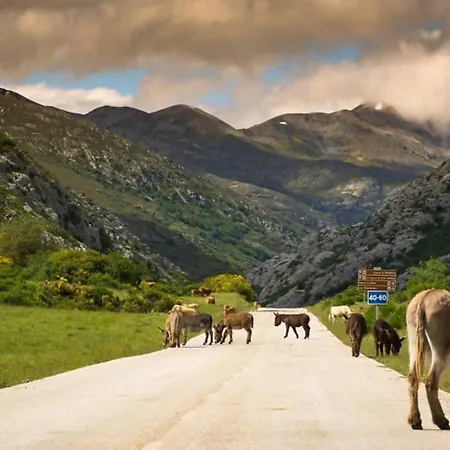 شقة Paraiso Desconocido 1 Pura Magia