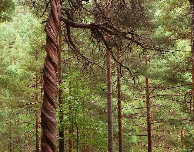 아파트 Paraiso Desconocido 1. Pura Magia *