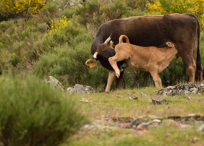아파트 Paraiso Desconocido 1. Pura Magia Cardano de Abajo