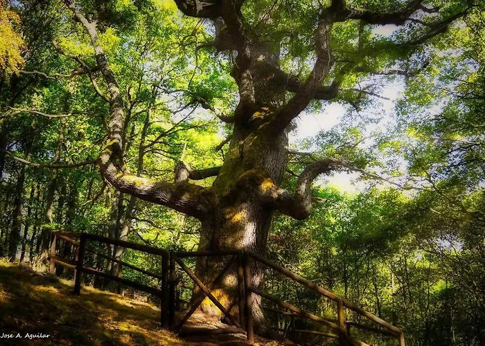 Paraiso Desconocido 1. Pura Magia 아파트